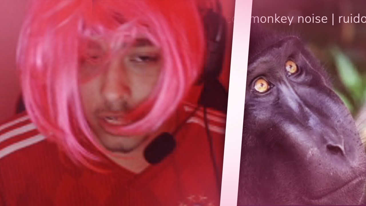 e-girl e sons de MACACOS