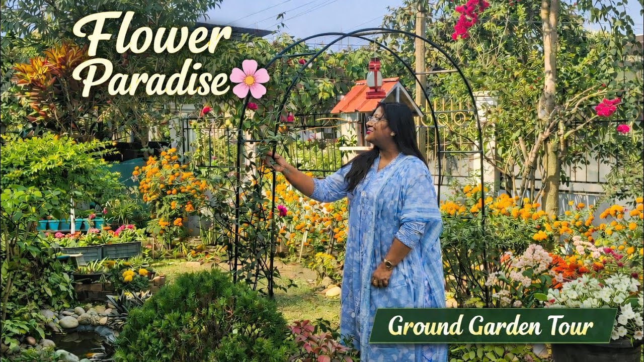 This Is Punya's Heaven On Earth | Dream Ground Garden Tour | Where Every Pot Blooms