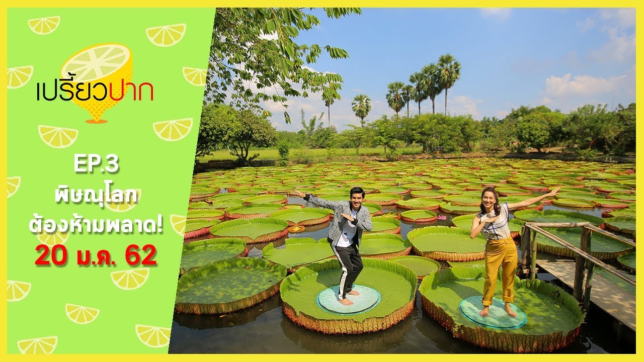 เปรี้ยวปาก เช็คอิน | 20 มกราคม 2562 | พิษณุโลก | สวนบัวอมรรัตน์ | ก๋วยเตี๋ยวห้อยขาป้ากฐิน | HD