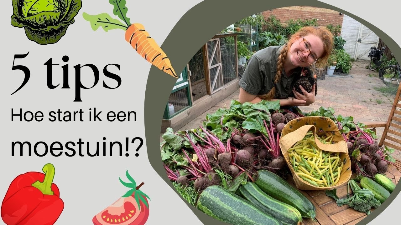 5 TIPS voor het STARTEN van een MOESTUIN. Kweek in een Groenten Tuin