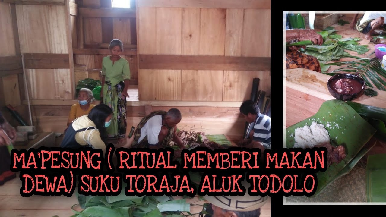 RITUAL MEMBERI MAKAN DEWA BERDASARKAN ALUK TO DOLO (KEPERCAYAAN LELUHUR) DALAM SUKU TORAJA. #toraja