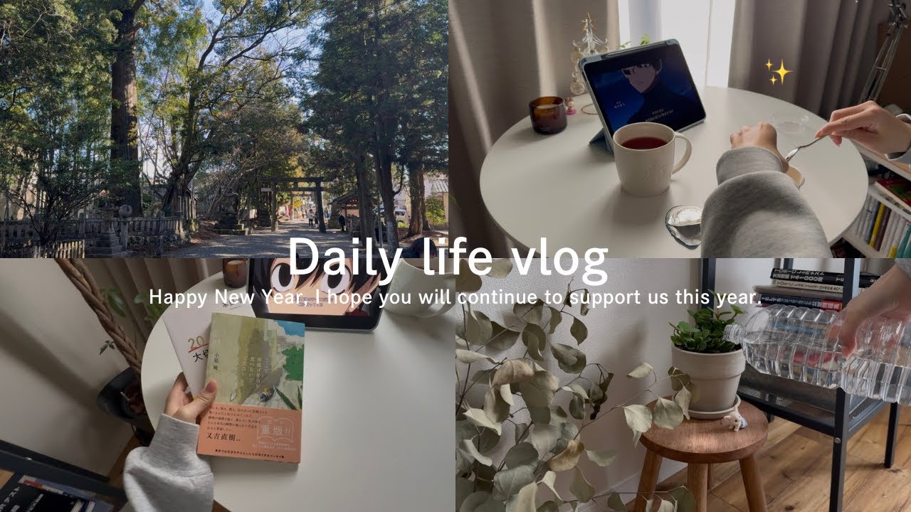 vlog￤あけましておめでとうな3日間🎍🎀初詣行ったり、親戚で集まったり^^
