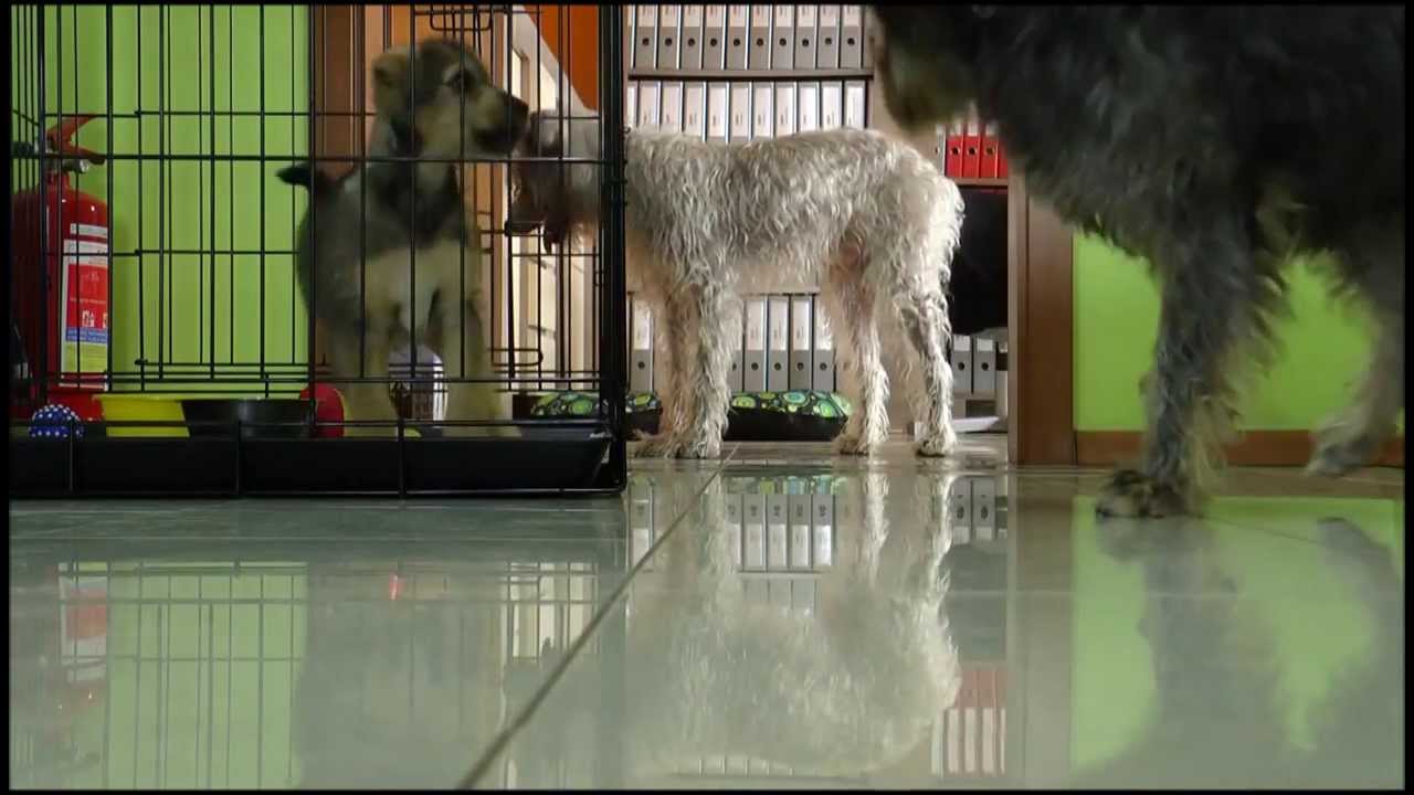 FUNDACJA SZARA PRZYSTAŃ 