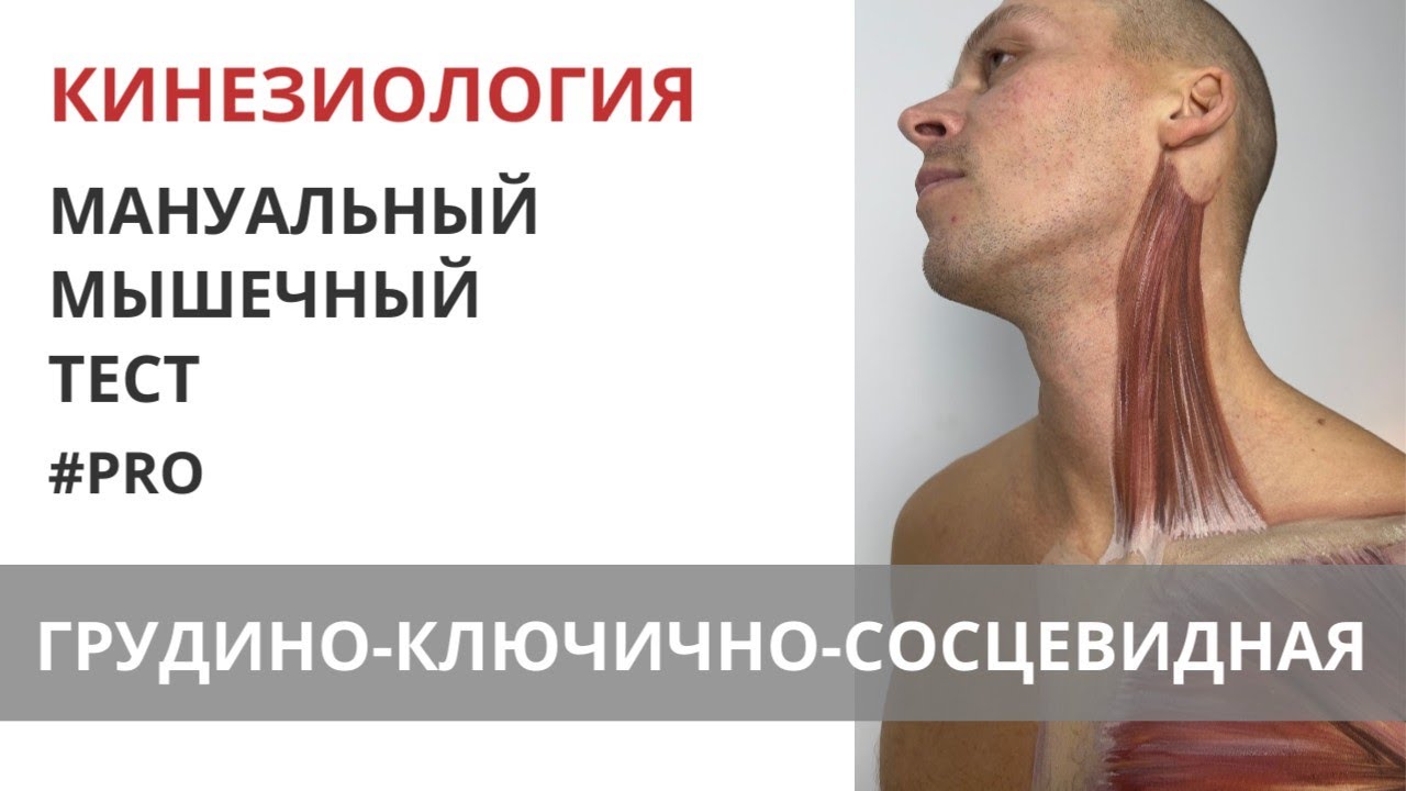 ГРУДИНО-КЛЮЧИЧНО-СОСЦЕВИДНАЯ мышца. Мануальный мышечный тест. Прикладная кинезиология.