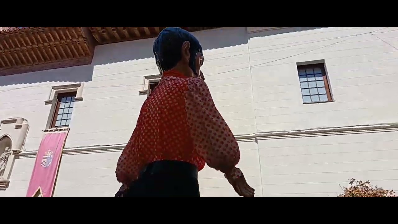 Gigantes y Cabezudos Alcalá de Henares - FERIAS 2025 CAP 11