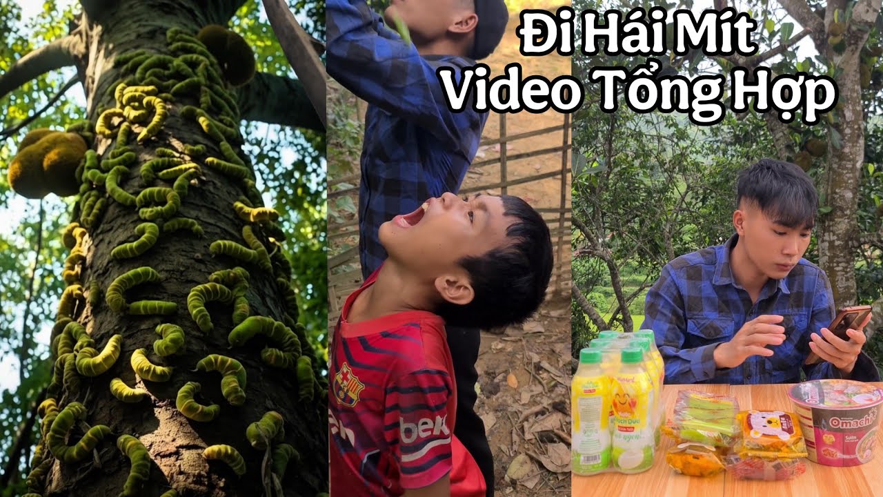 Đang Hái Mít Thì Gặp Chuyện Không May | Những Video Mới Nhất Tuyền Vlog