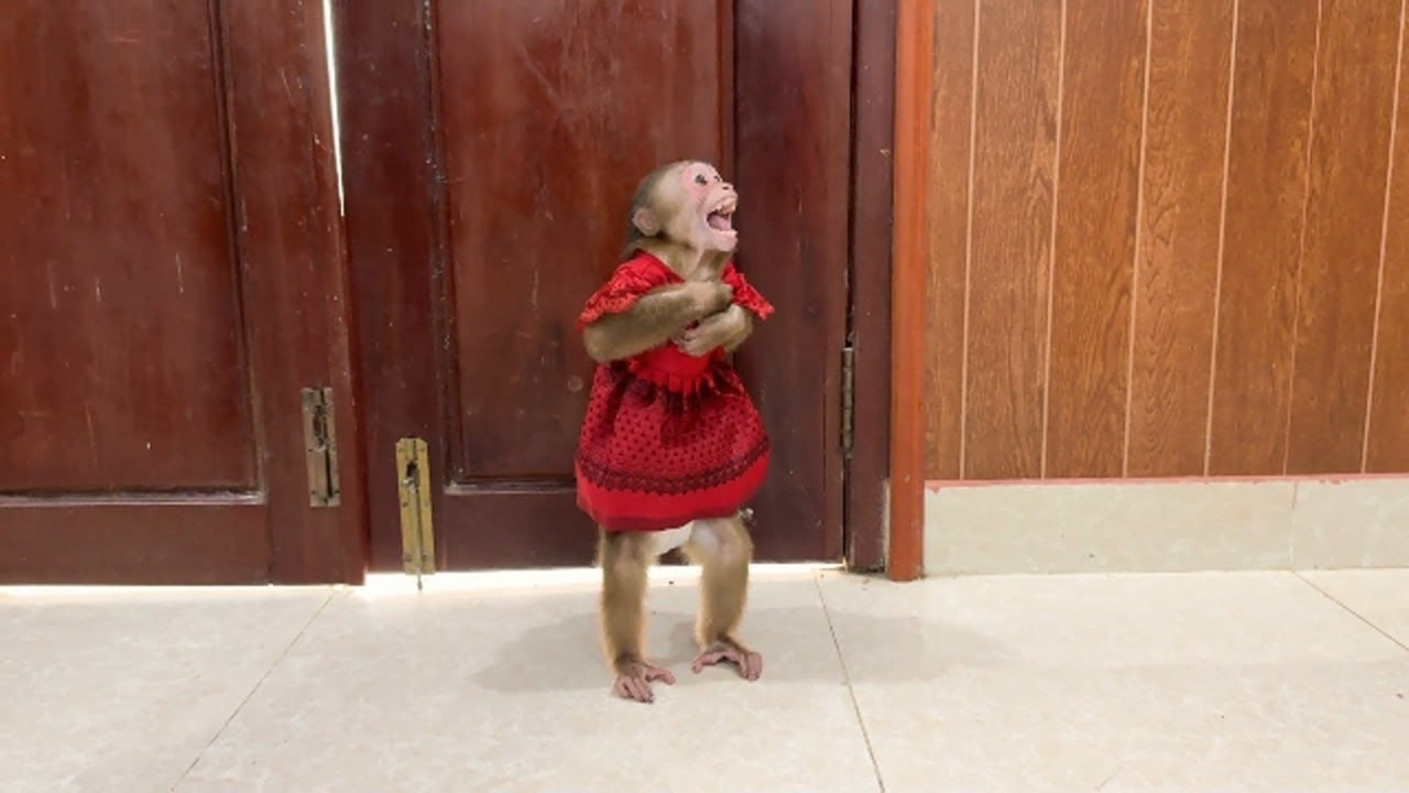 Chichi Emotiona-l Anqry Mom Refuse To Hug Her But Ask Her To Walk In Two Legs