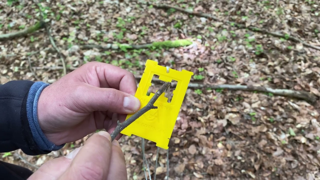 Testing a self-3D printed Dendrometer for stand basal area estimation