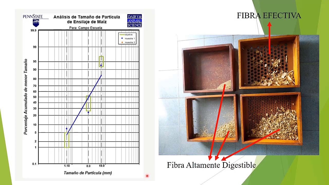 Taller de Ensilaje (Parte 2)