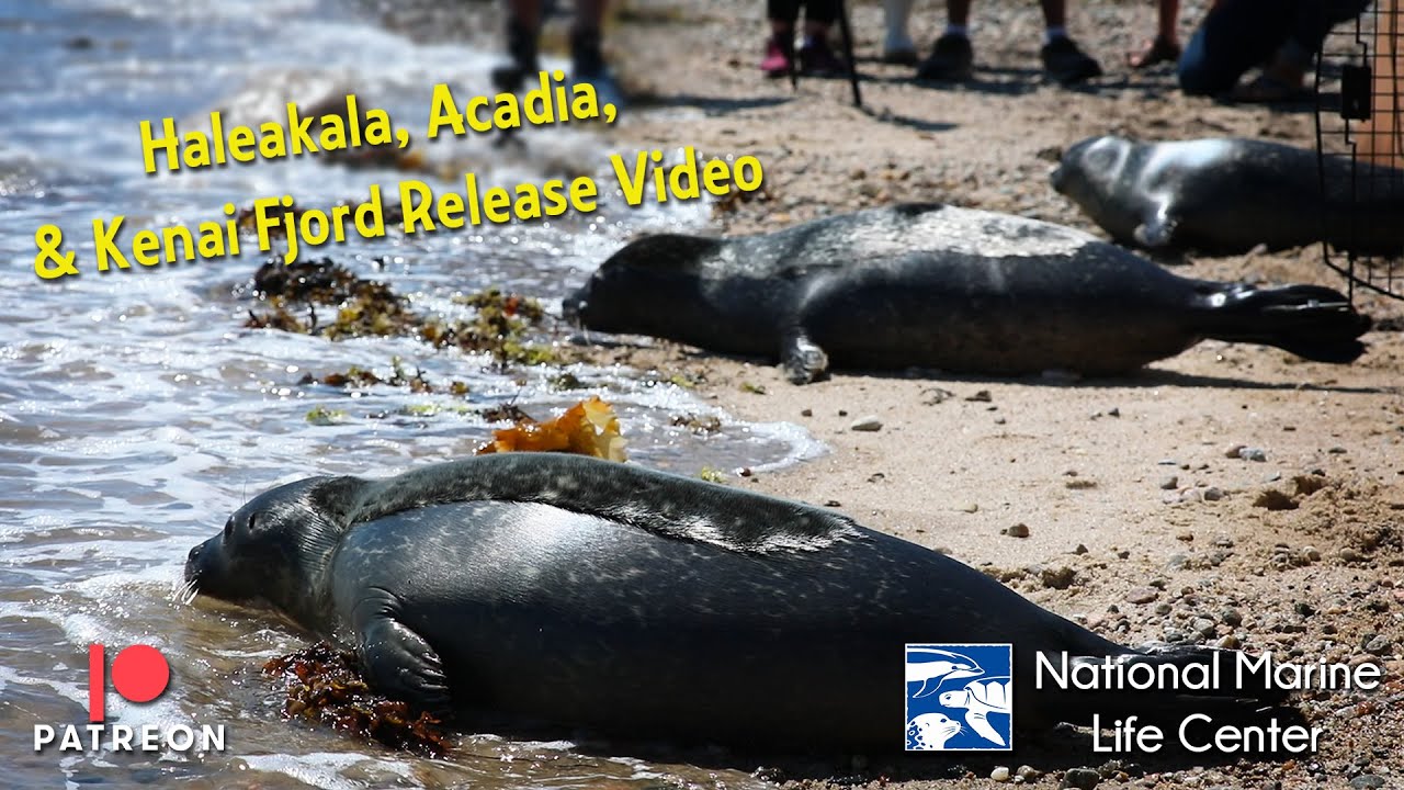 Release of Haleakala, Acadia, & Kenai Fjords - NMLC
