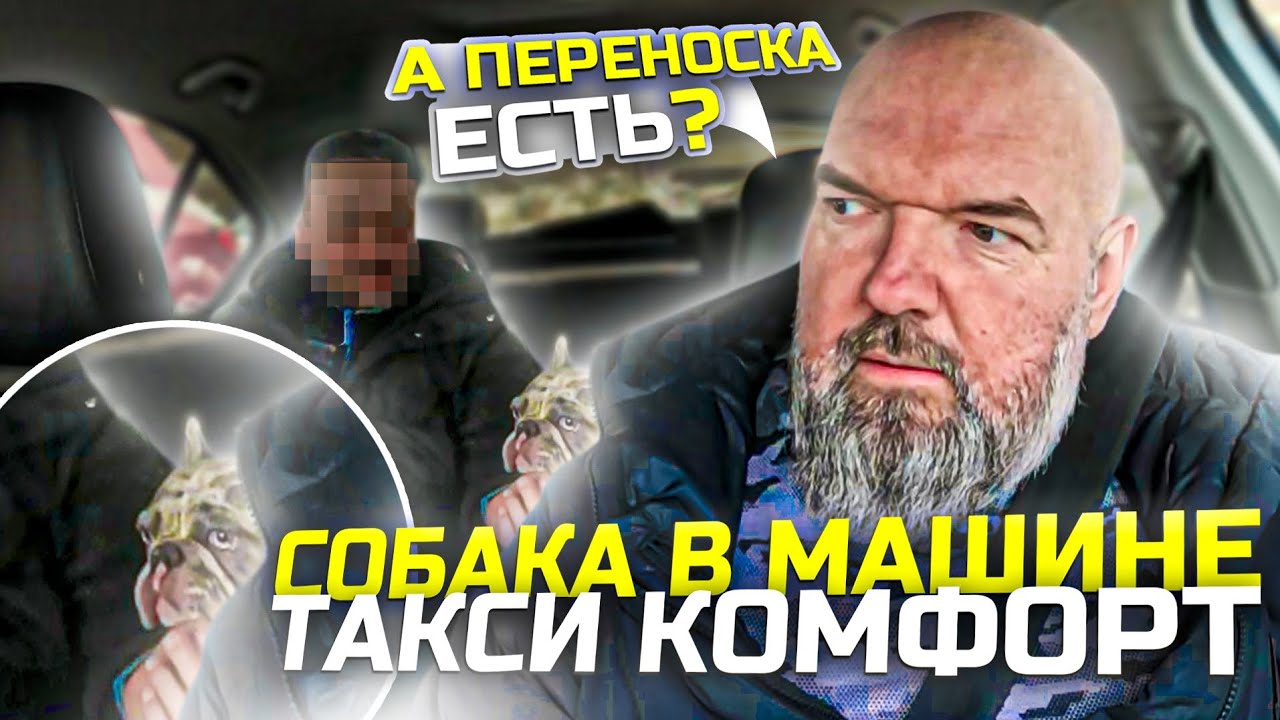 Вопрос к знатокам|нужно заехать в частный сектор|выйти из машины и выписать пропуск|должен или нет |