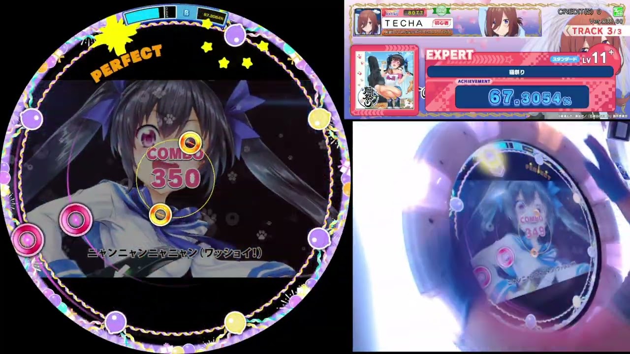 猫祭り/ Cat Festival - Expert FC - maimai DX CiRCLE