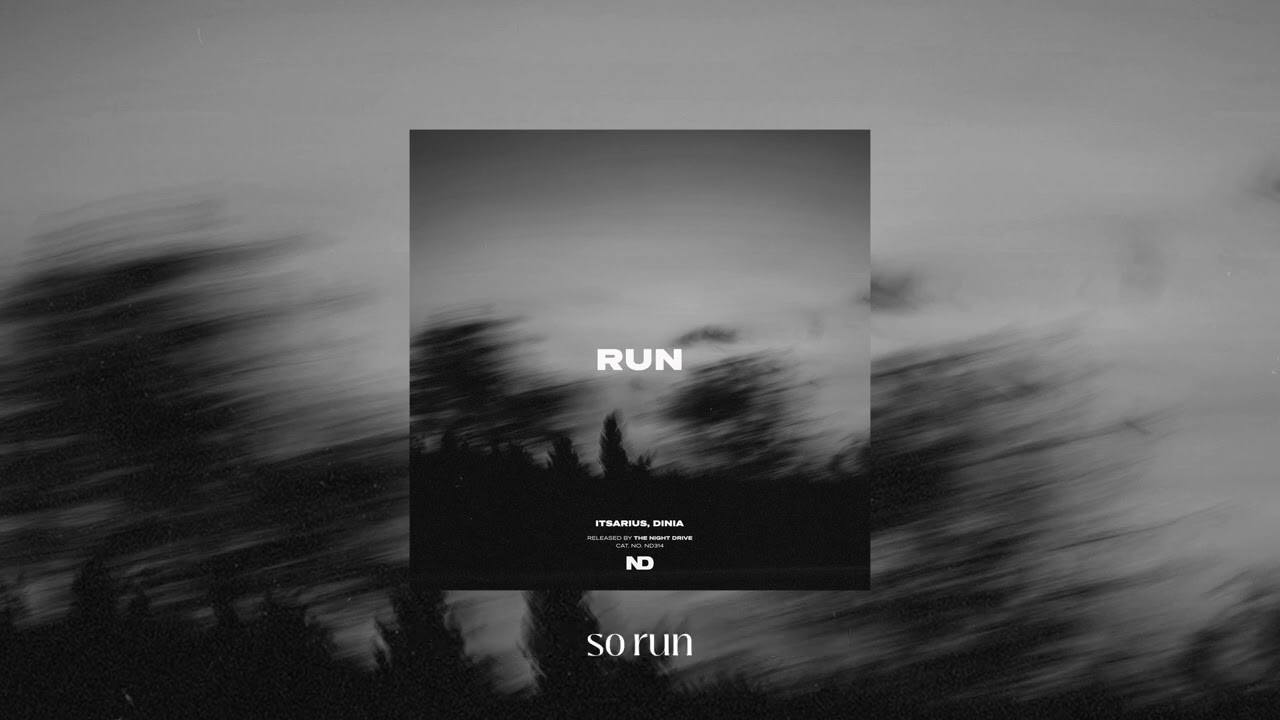 ItsArius & Dinia - Run (extended mix)