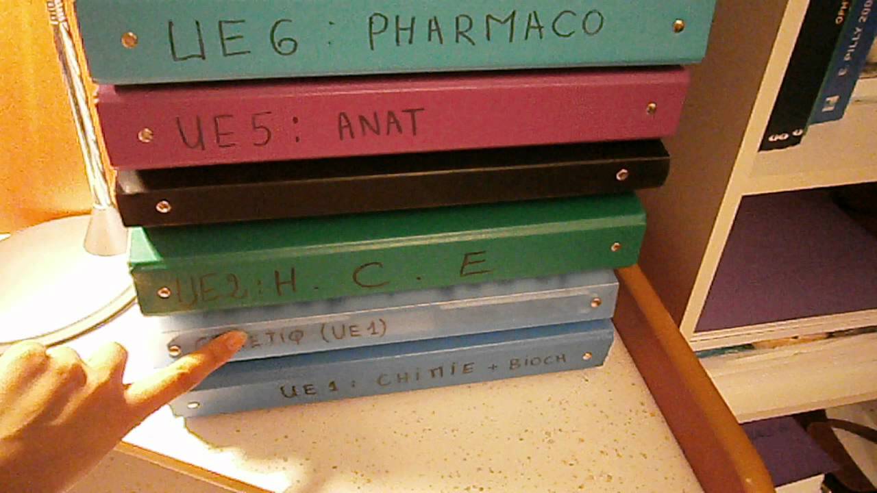 PACES(m&eacute;decine),Organisation et M&eacute;thodologie.