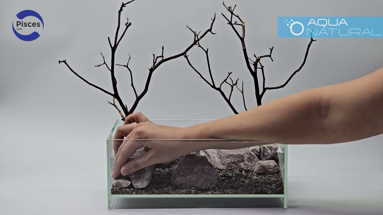 Beautiful Aquascape in a Small Tank | Flamingo Substrate & Rose Glitter Rock Showcase