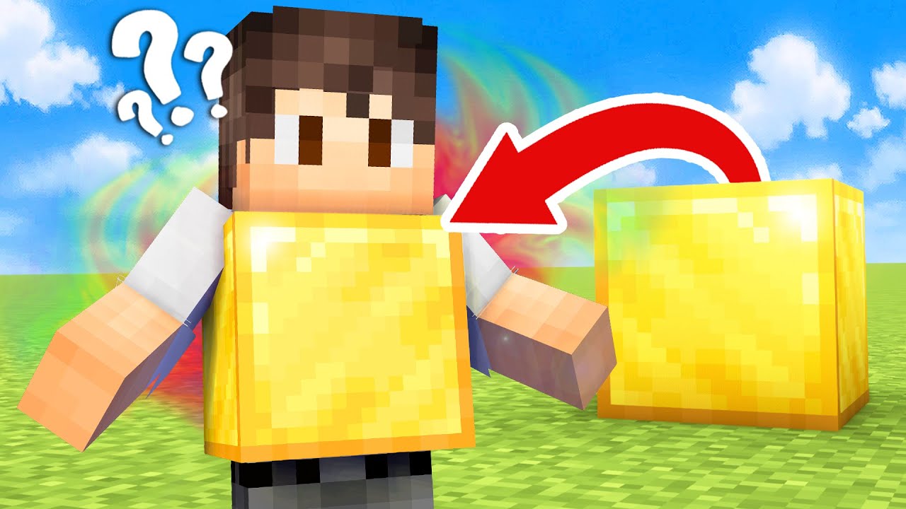 Minecraft, Aber Du Kannst Alle Blöcke Anziehen