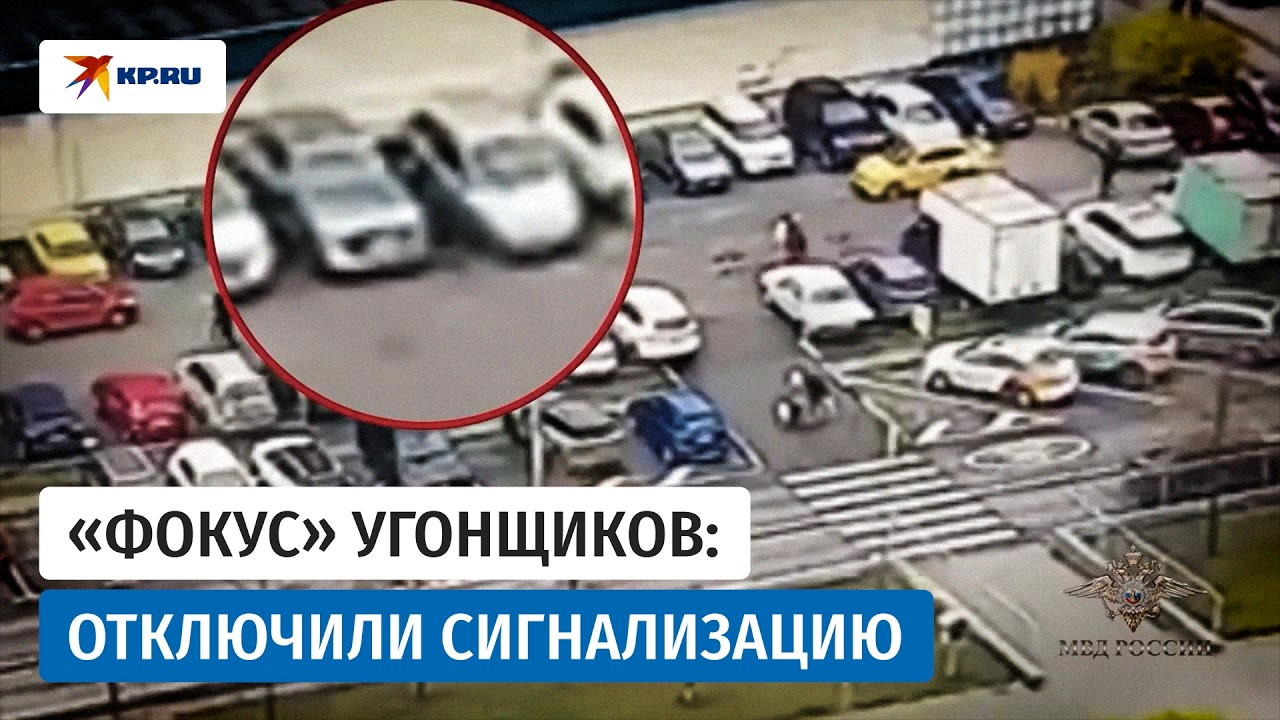 Полицейские в Москве задержали банду угонщиков иномарок