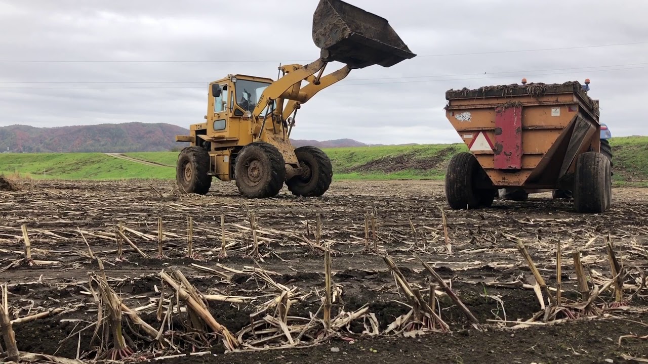 【トラクターとショベルで堆肥散布】New Holland T6070 + TCM Tire excavator  Compost application