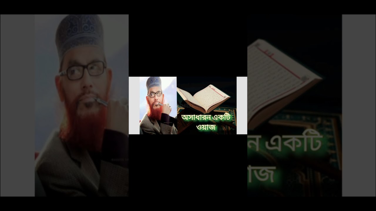 অনেক সুন্দর কথা বলেছেন আল্লামা সাঈদী সাহেব।