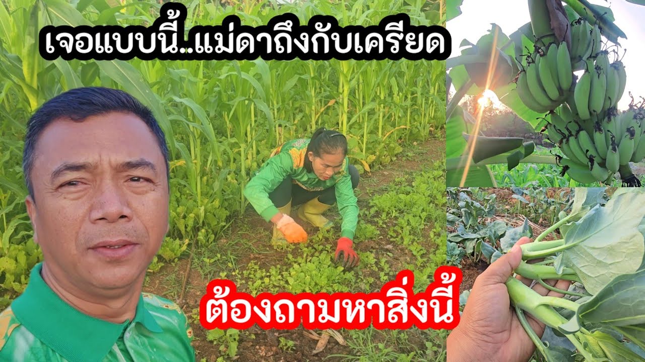 เจอแบบนี้แม่ดาถึงกับเครียด! มันหนักเกินไป ต้องถามหาสิ่งนี้
