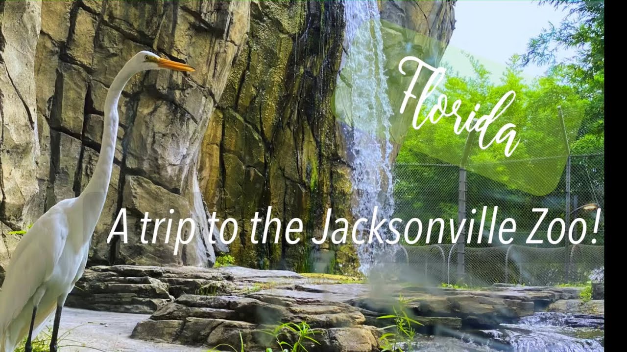 A DAY AT THE JACKSONVILLE, FL ZOO! | FULL TOUR| DID THAT JAGUAR TRY TO SPRAY US?!