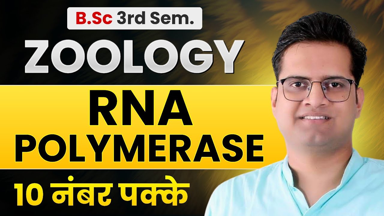 RNA Polymerase!B.Sc 3rd Semester Zoology!Be DKDian