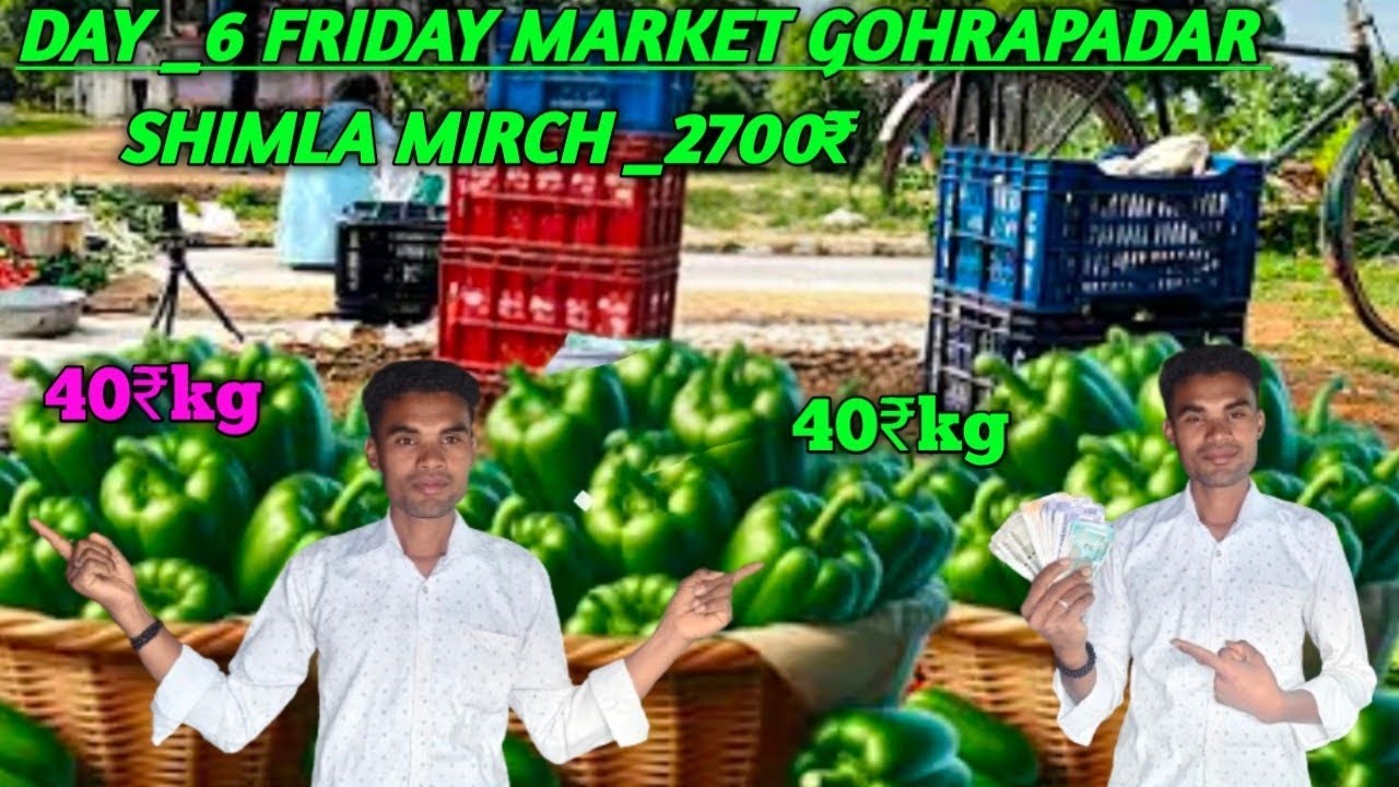AAJ MAINE MARKET SE KHARIDA SHIMLA MIRCH _2700₹! PROFIT या LOSS 😱?