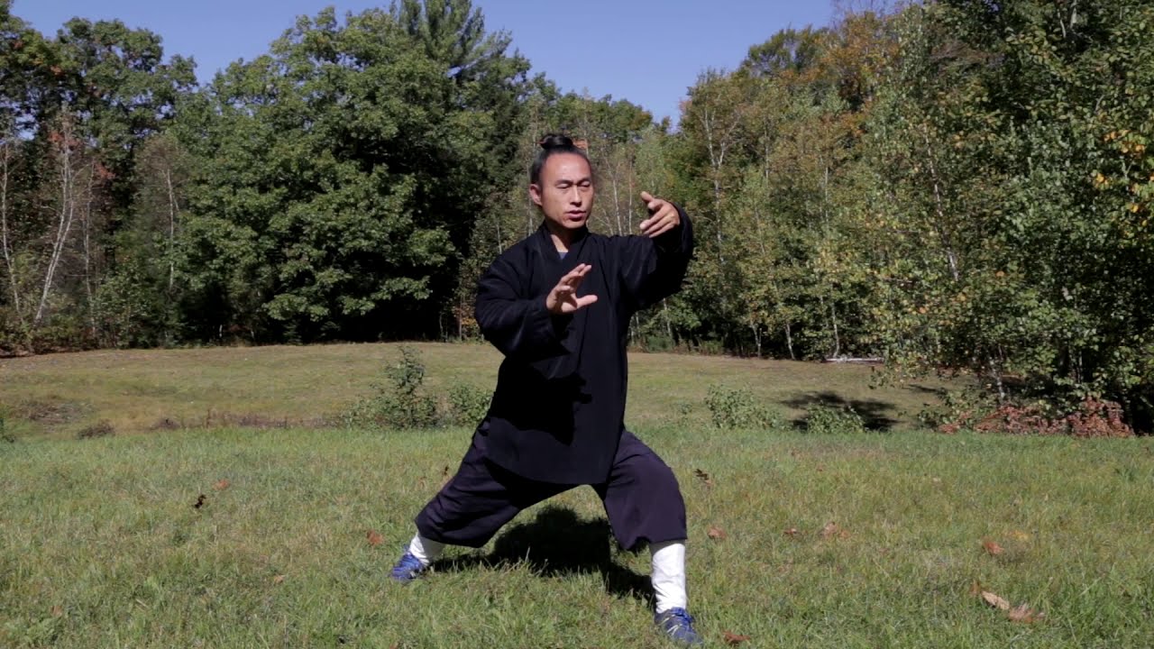 FREE Tai Chi with Master/武当太极13式(1st episode)