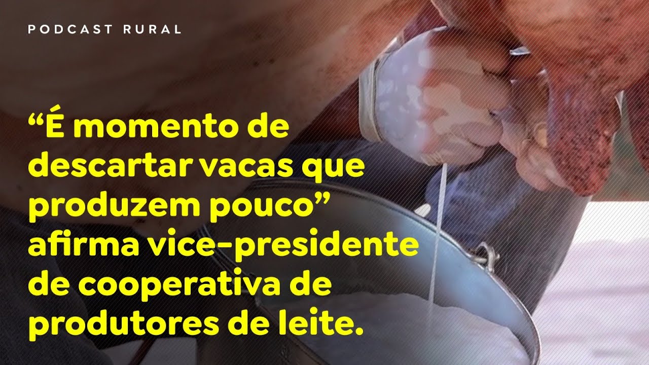 É momento de descartar vacas que produzem pouco, afirma vice-presidente de cooperativa.
