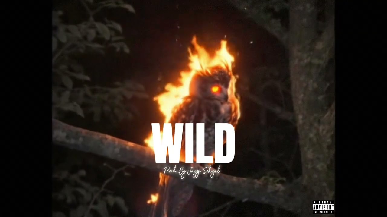 WILD – Hard Trap Type Beat | Aggressive Hip-Hop Instrumental | Prod. by Jaggi Sehgal