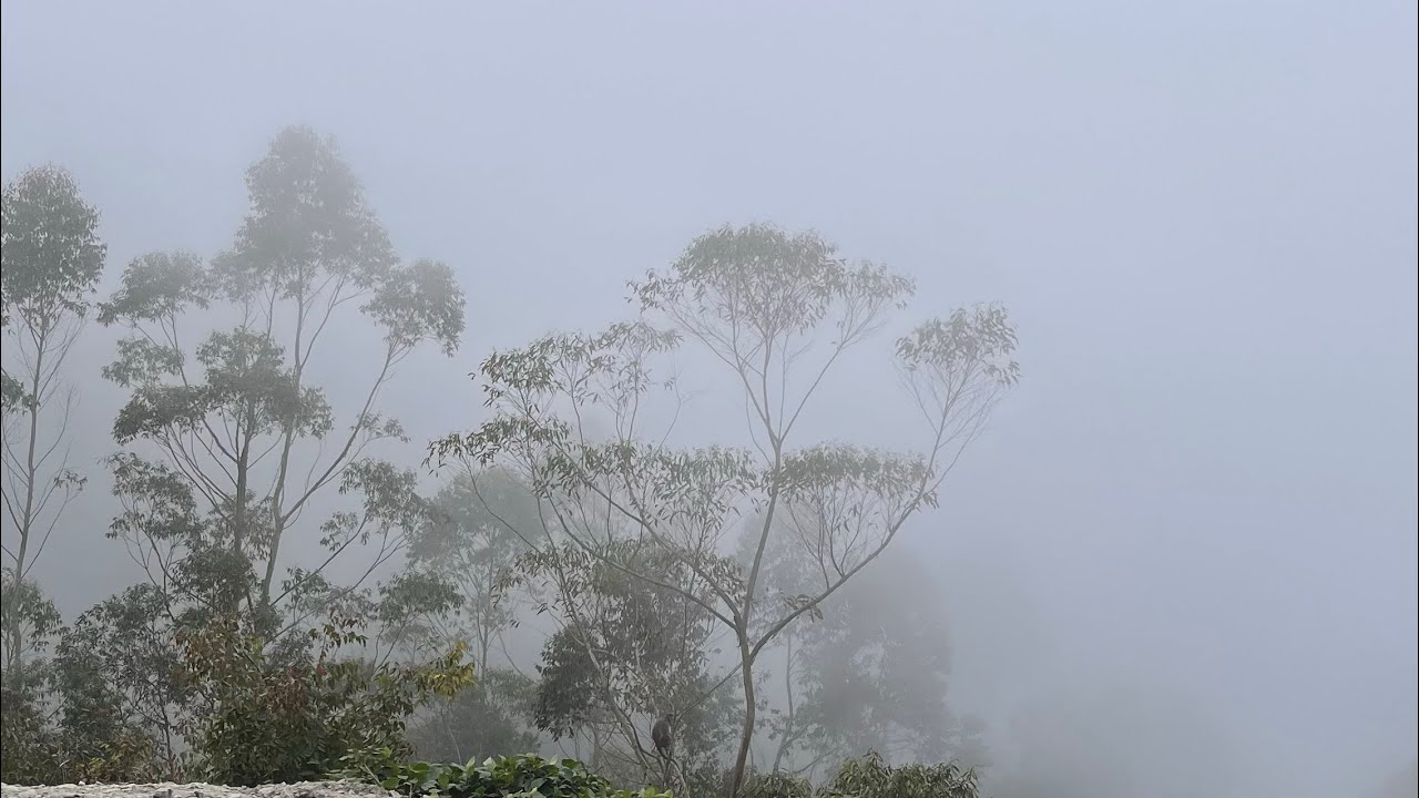Munnar Vattavada Trip