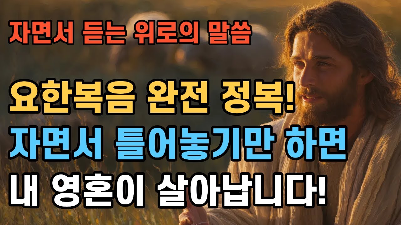 요한복음 전체 정리 | 이 영상 하나면 충분합니다 | 자면서 틀어놓기만 하면 내 영혼이 살아납니다 | 자면서 듣는 위로의 말씀