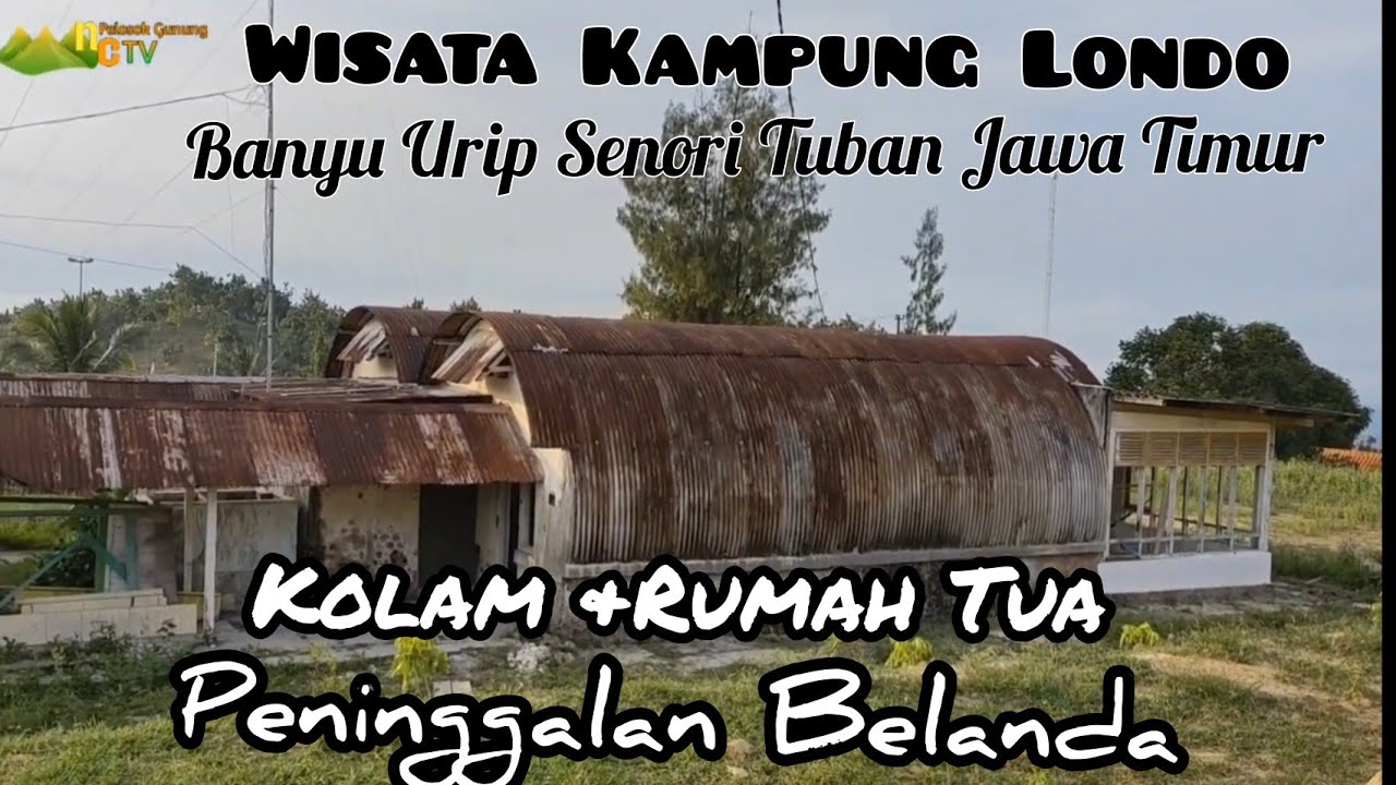 KAMPUNG LONDO / WISATA BARU DI DS BANYU URIP SENORI TUBAN JATIM /KOLAM DAN LOJI PENINGGALAN BELANDA