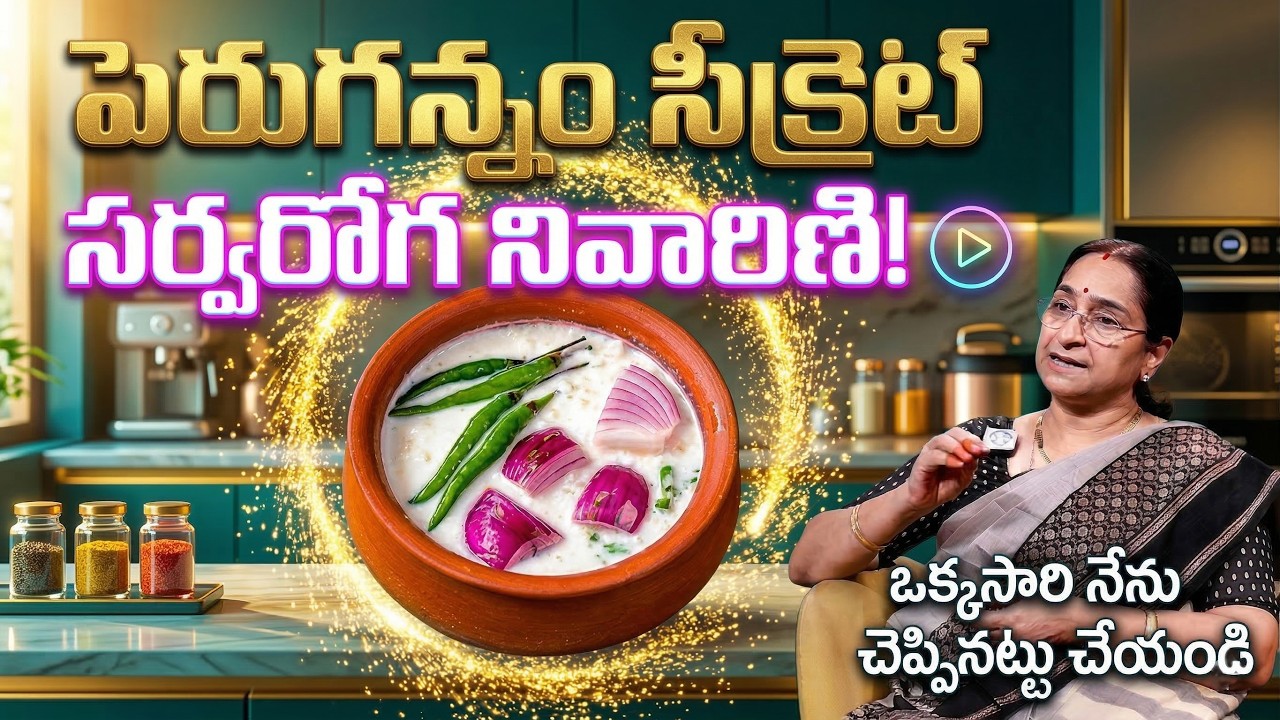 Fermented Curd Rice Benefits | Ramaravi |  Curd Rice | Anchor Jaya | iDream
