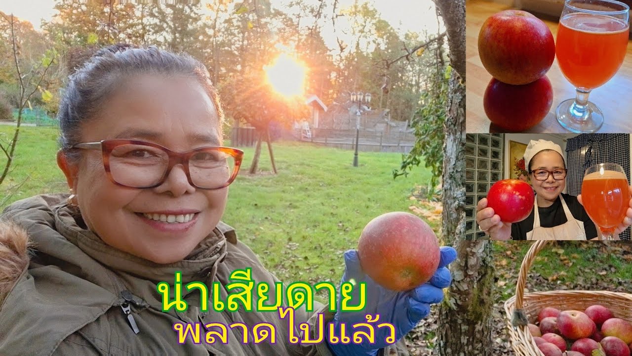 เข้าสวนแบบผิดหวัง🍂🍁😥อากาศติดลบ-5เก็บพืชผักเก็บแอปเปิ้ลปั่นแยกน้ำ 🍎🍷ไว้ต้อนรับครอบครัว