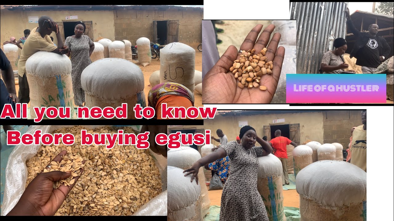 Easy Money in Nigeria|| Egusi Agric investment market || Egusi & Beans market || passive income