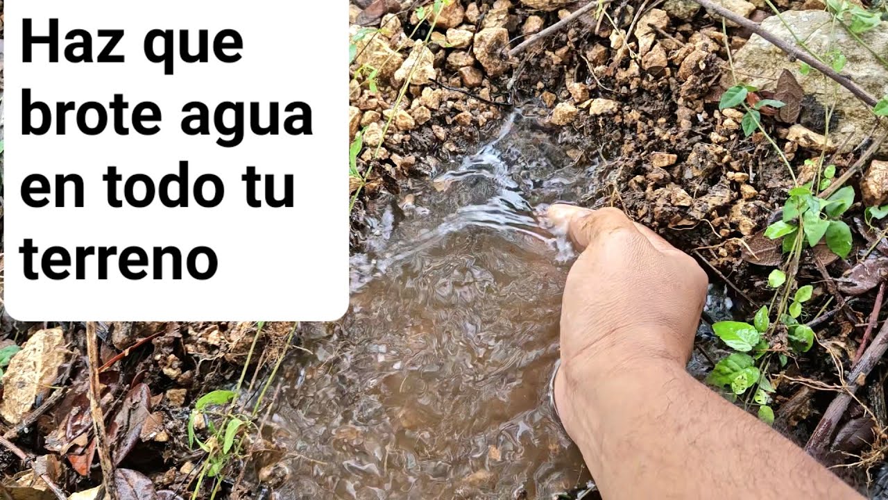 INCREIBLE TODA EL AGUA QUE SALIO en esta SIEMBRA DE AGUA