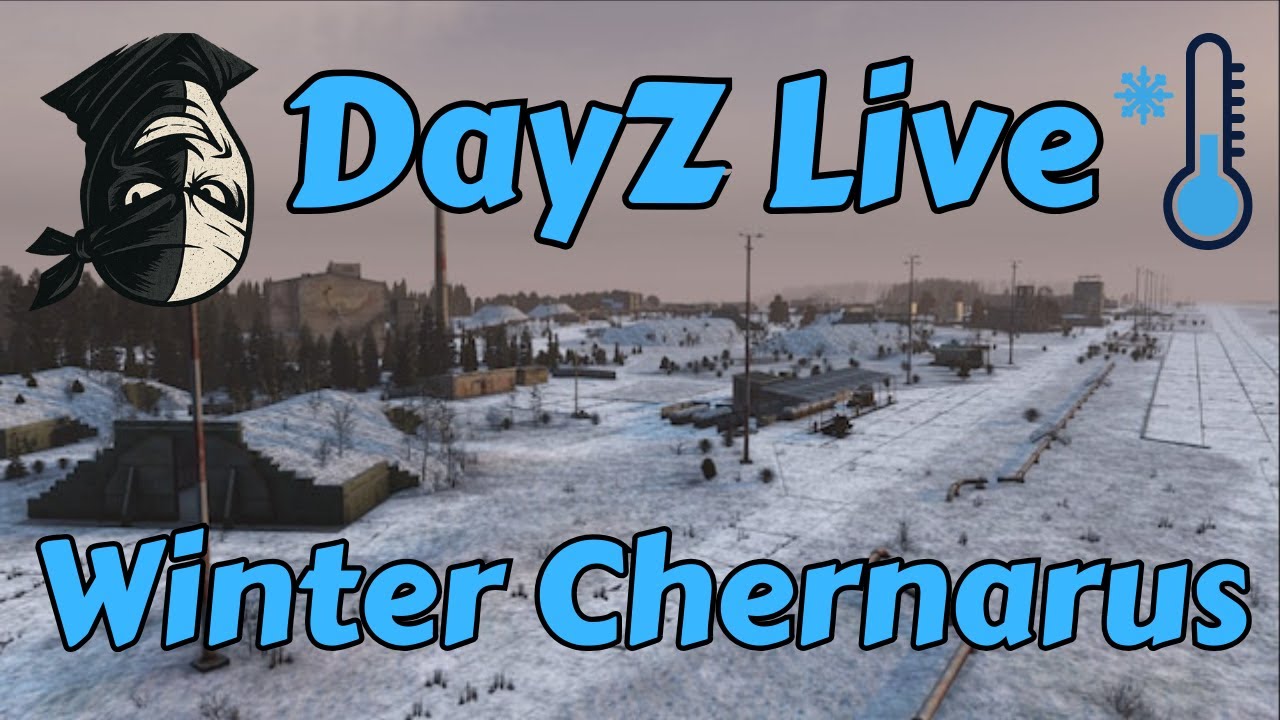 DayZ Live - Winter Chernarus - Hardcore Cold Weather - 1440p