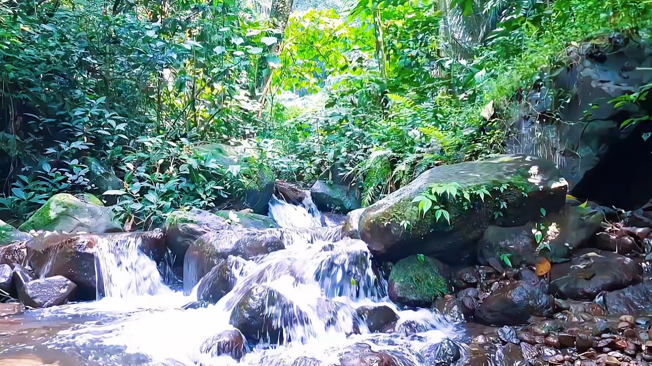 River Sounds for Full Body Relaxation