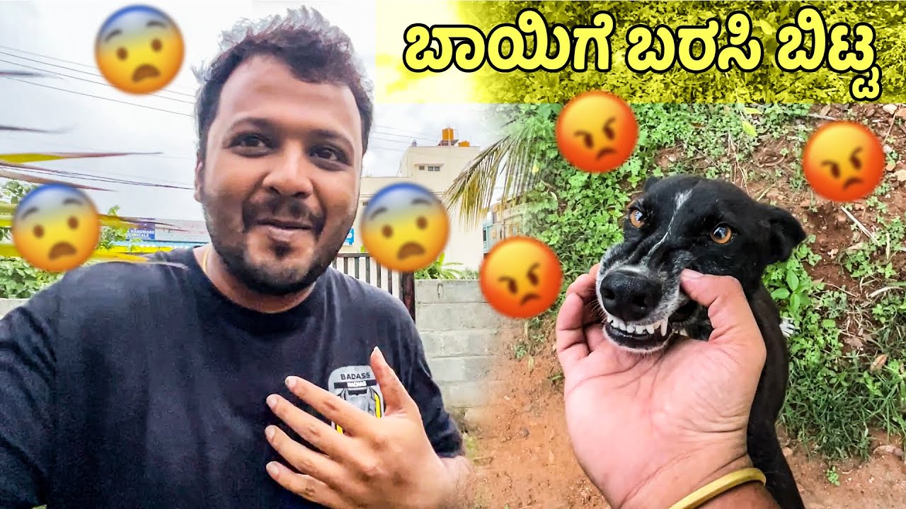 Kaala Came to Bite me🤷‍♂️😢 | KGK Gowda