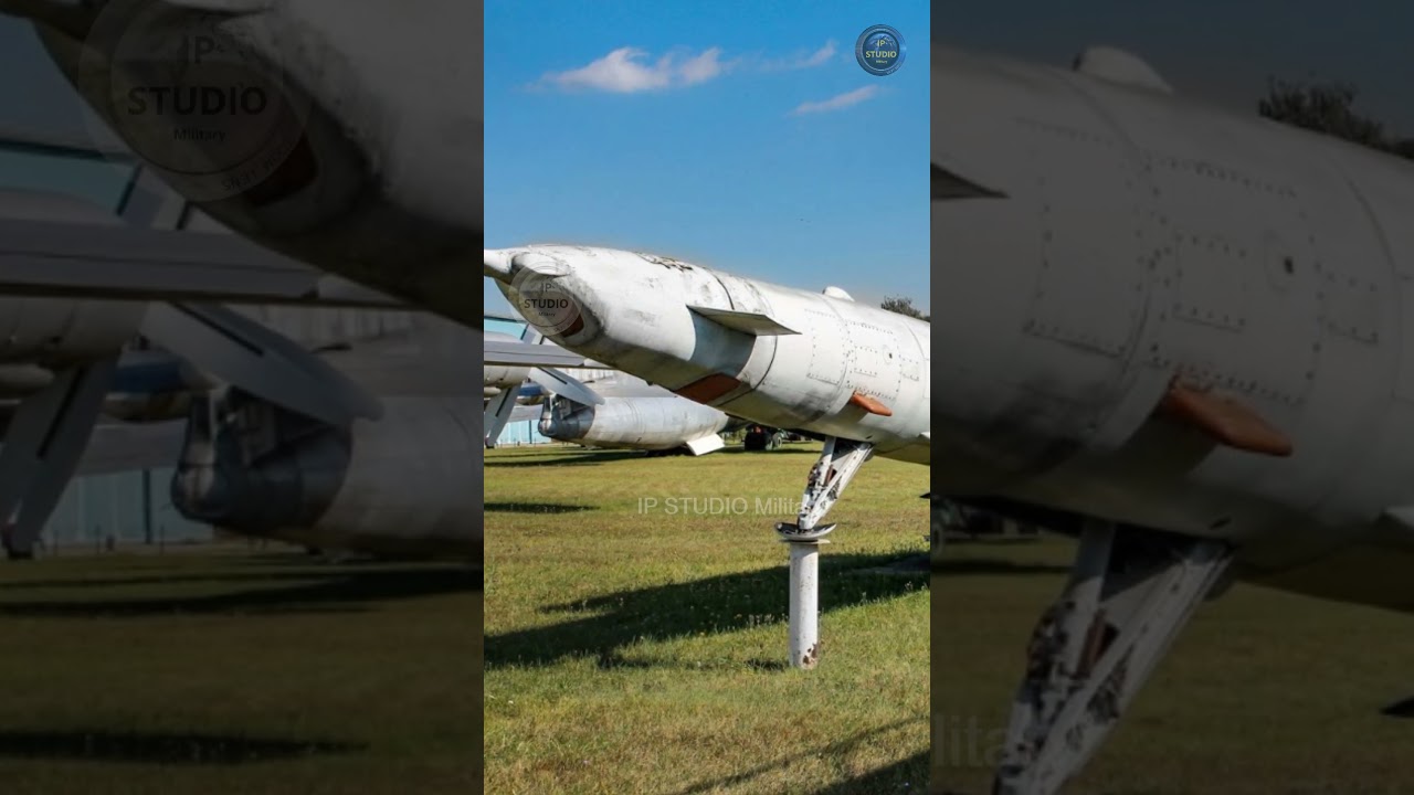 FP-5 Фламинго и Ту-141 Стриж - внешнее сходство и принципиальные различия #бпла, #ракета