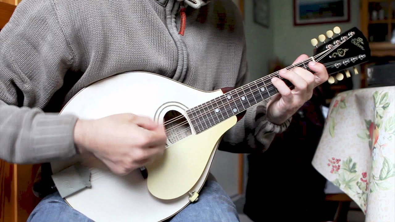 Mandolin tunes. Brid Harper's (Irish jig)