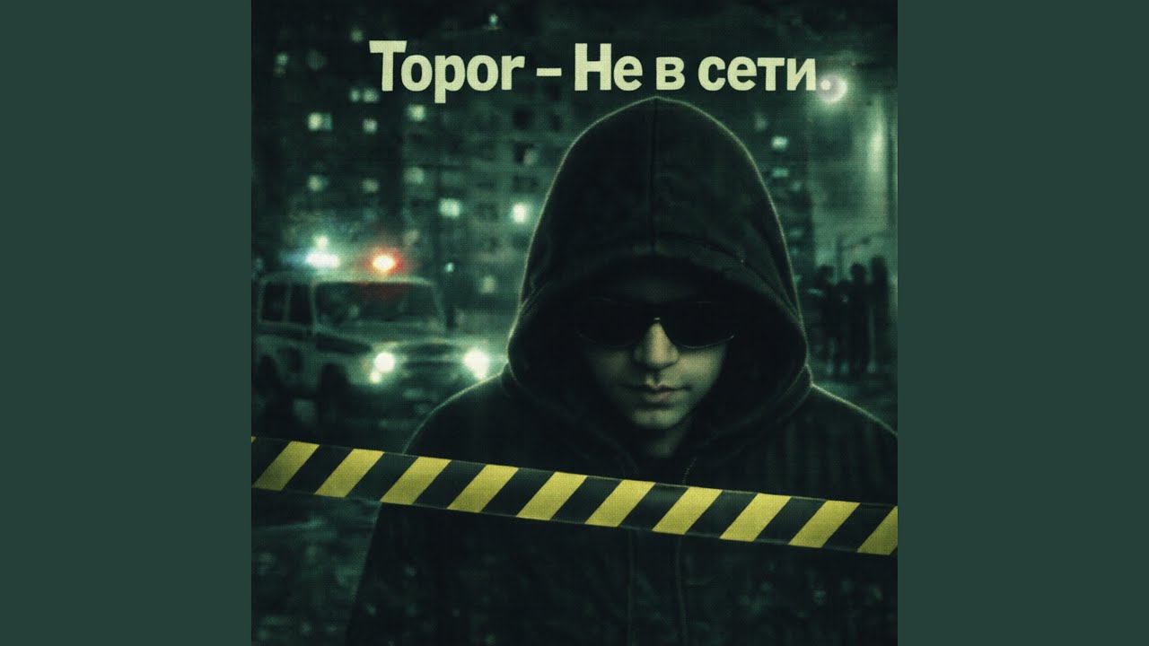 Не в сети