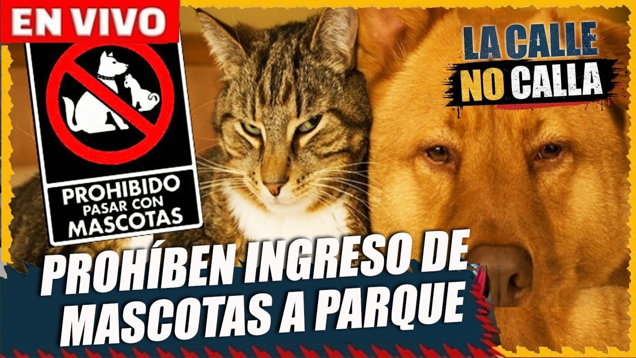 🔴 EN VIVO – RESTRINGUEN INGRESO DE MASCOTAS A PARQUE | 