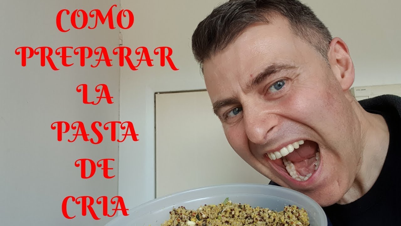 COMO PREPARAR PASTA DE CRIA FACILMENTE