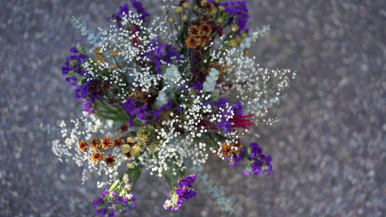 青青❤️干花：更适合做干花的花材和绿植