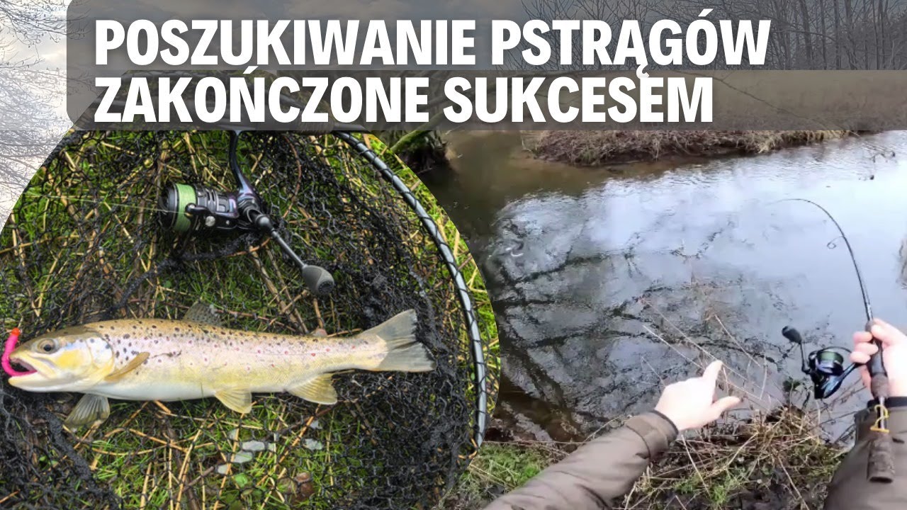 Poszukiwanie pstrągów zakończone sukcesem