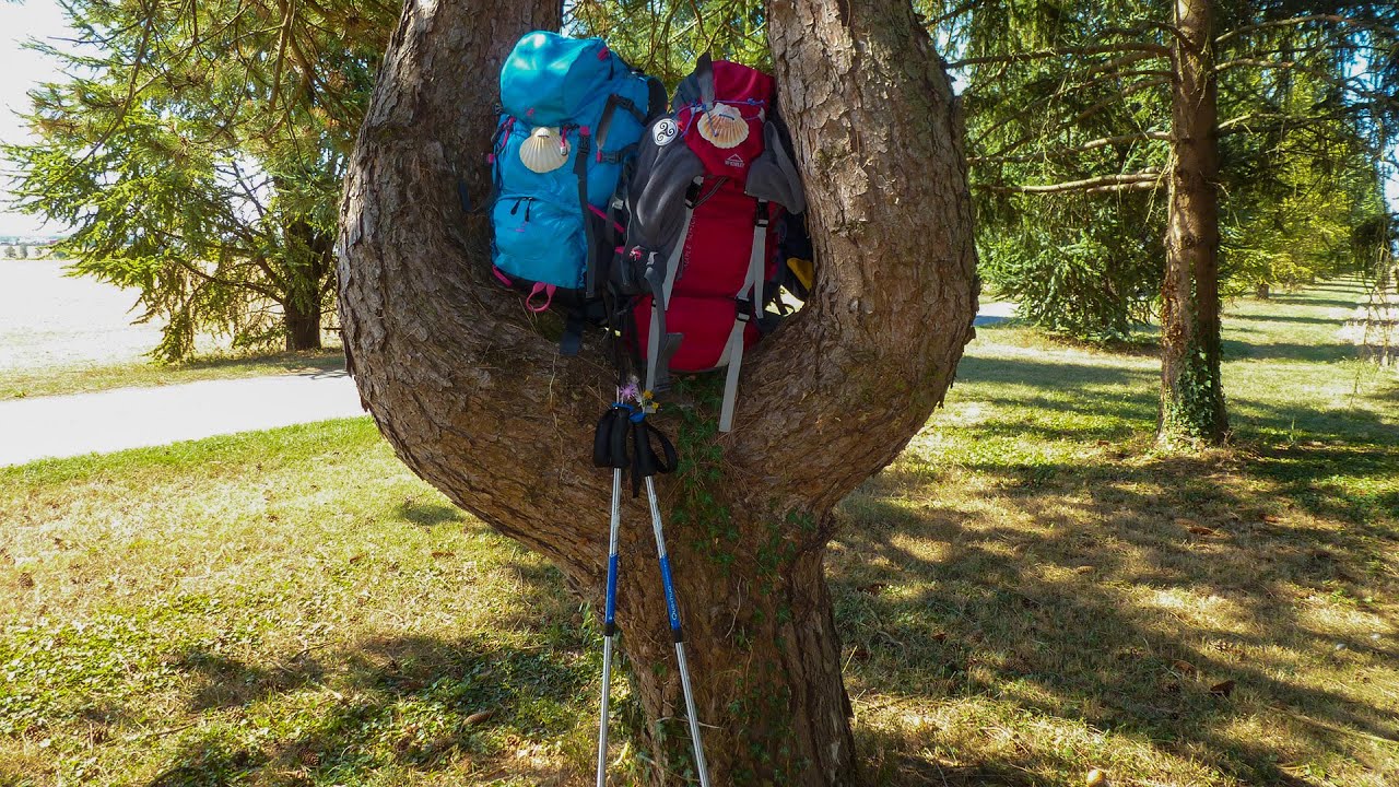 Sur le chemin de Compostelle - Partage. Voie de Vézelay