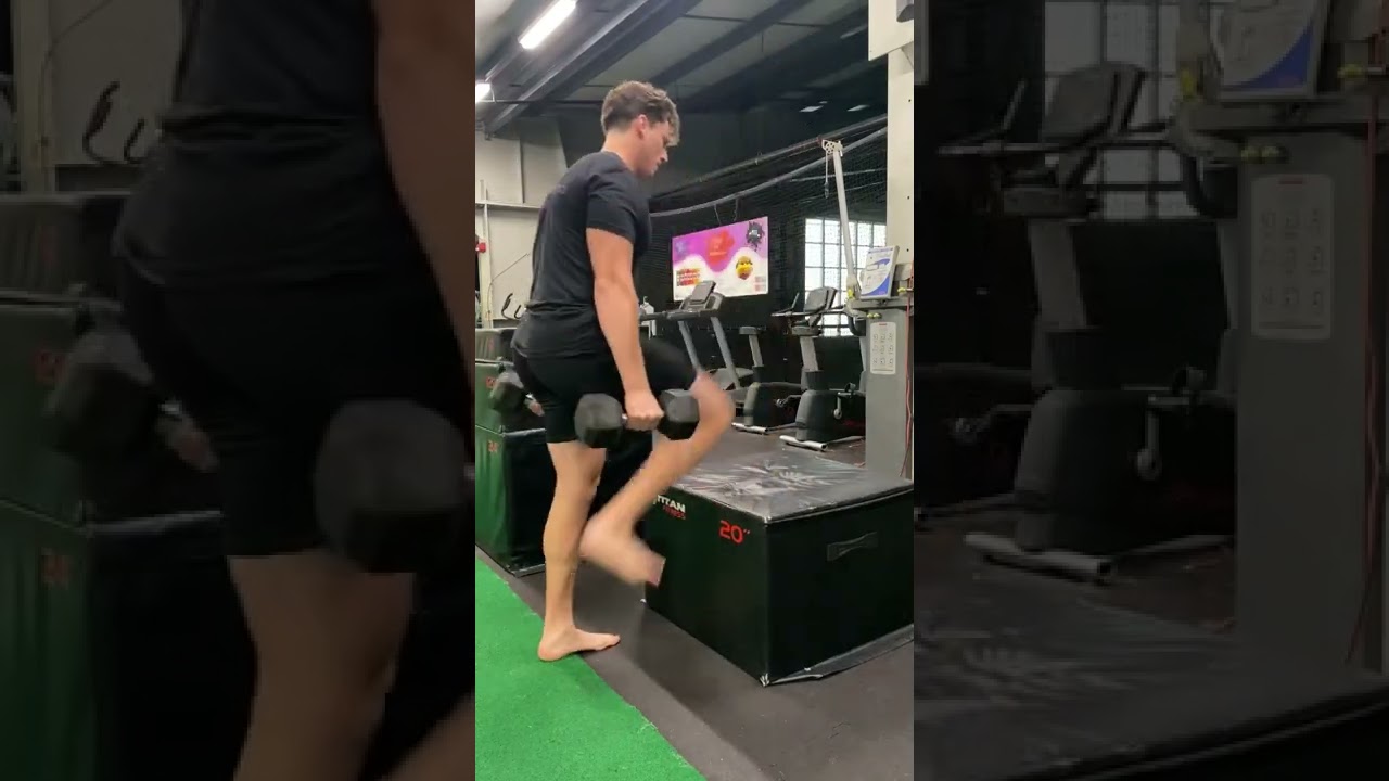 Dumbbell loaded box jump
