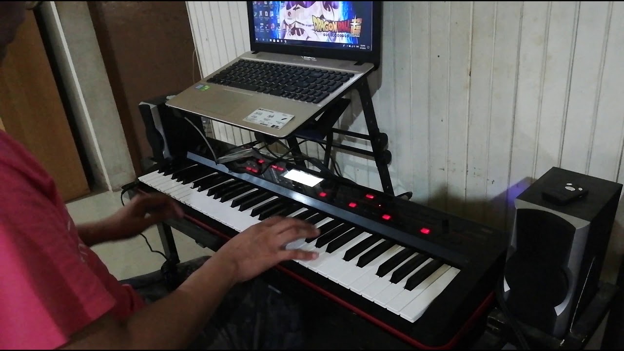 The Psychedelic Furs - The Ghost in You (impromptu keyboard cover)